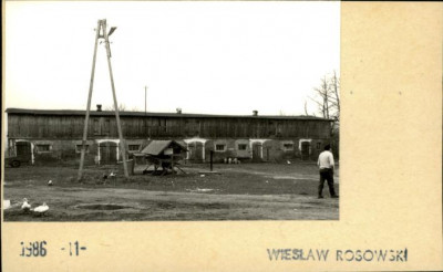cielętnik, skan 2