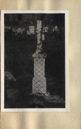 figura, skan 2