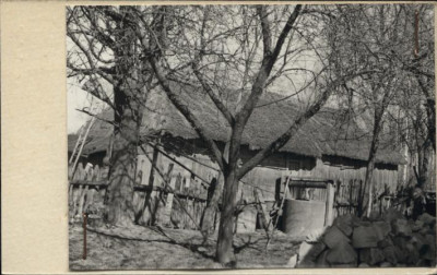 obora, skan 2