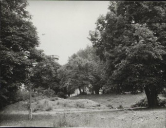 park, skan 4