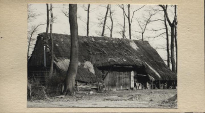 stodoła, skan 2