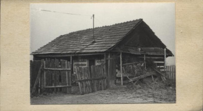 stajnia, skan 2