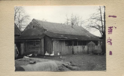 stajnia, skan 2