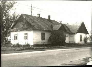 dom, skan 3