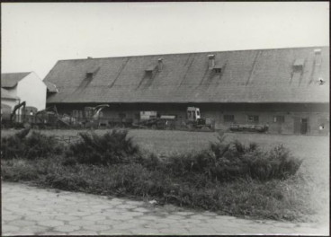 obora dworska, skan 3