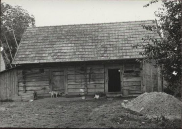 stajnia, skan 3