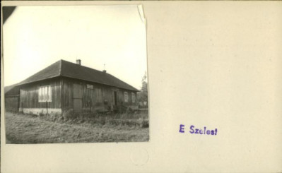 sklep, skan 2