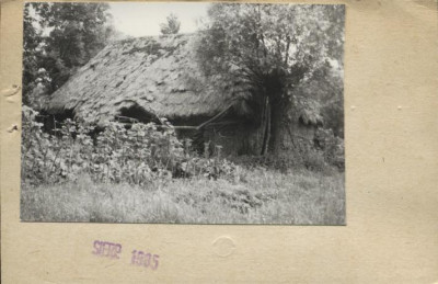 stodoła, skan 2