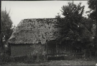 stodoła, skan 3