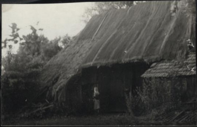 stodoła w zagrodzie, skan 3