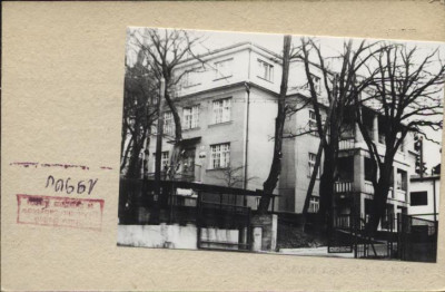 willa, szpital alergologiczny, skan 2