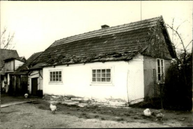 dom, skan 2