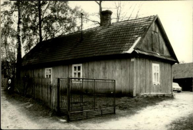 dom, skan 2