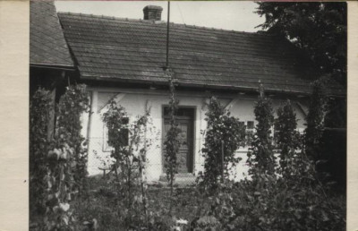dom, skan 2