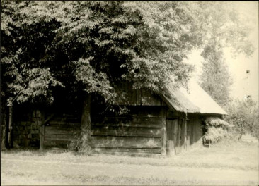 stodoła, skan 3