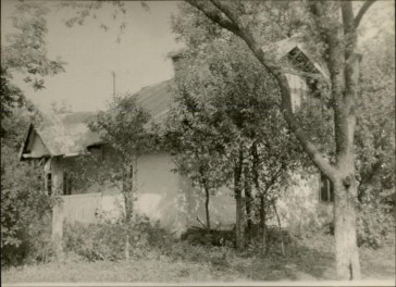 dom, skan 3