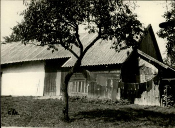 dom, skan 3