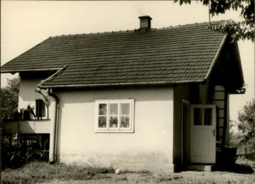 dom, skan 3