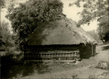 stodoła, skan 3