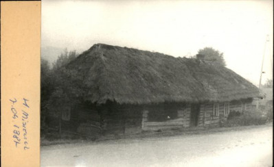 dom, skan 2