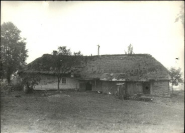 dom, skan 3