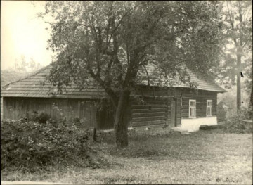 dom, skan 3
