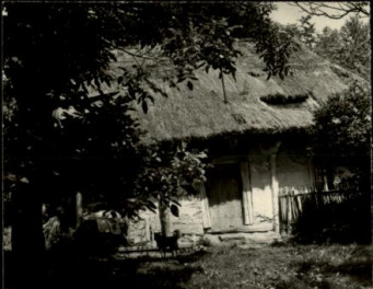 chałupa, skan 3