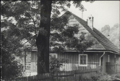 plebania, skan 3