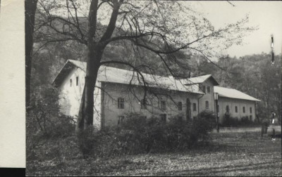 willa Łokietka, skan 2