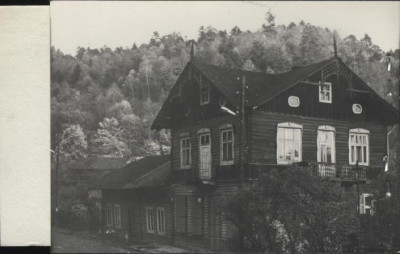 willa, skan 2