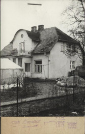 willa, skan 2