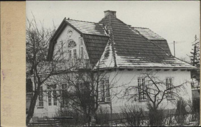 willa, skan 2
