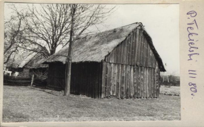 stodoła, skan 2