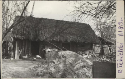 stodoła, skan 2