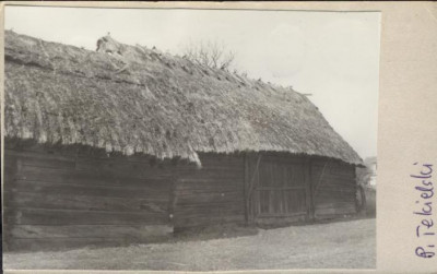 stodoła, skan 2