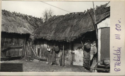 obora, skan 2