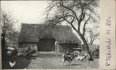 stodoła, skan 2