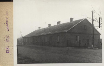 czworak, skan 2