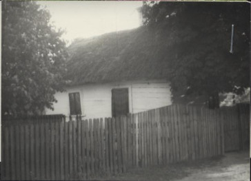dom, skan 3