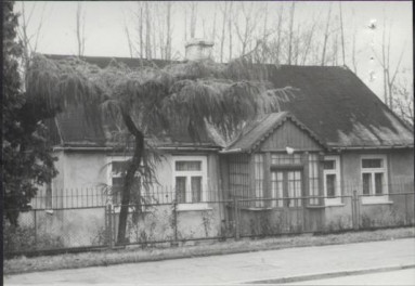 dom, skan 3