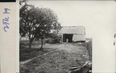 stodoła, skan 2