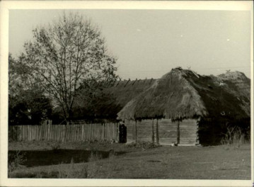 stodoła, skan 3