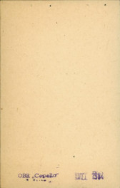 stajnie ogrodowe, skan 2