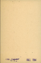 willa, skan 2