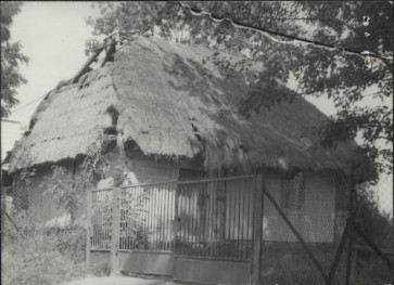 dom, skan 3
