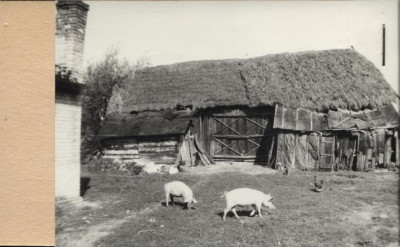 stodoła, skan 2