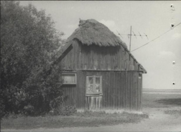 dom, skan 3