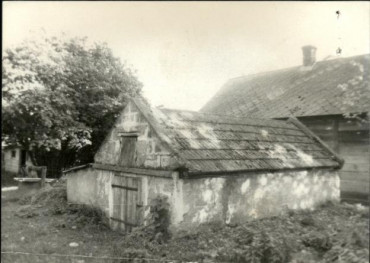piwnica, skan 2