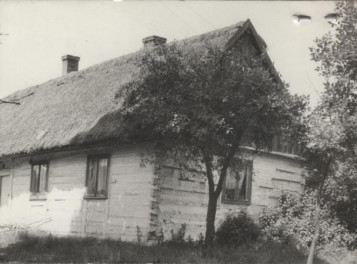 dom, skan 3