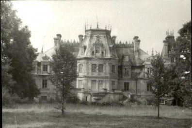 pałac, skan 3